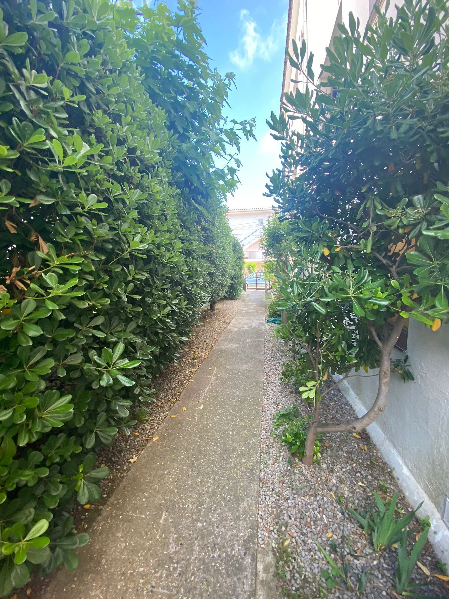 Garden of Flat for sale in Castell d'Aro, Platja d'Aro i s'Agaró  with Heating, Private garden and Terrace