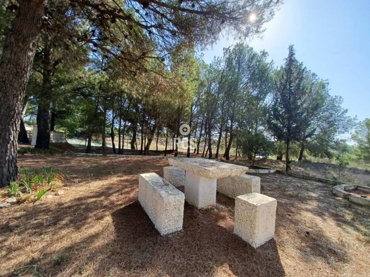 Villa con giardino in vendita a Calle Paraje Sierra Espuña S/N, imagen 4