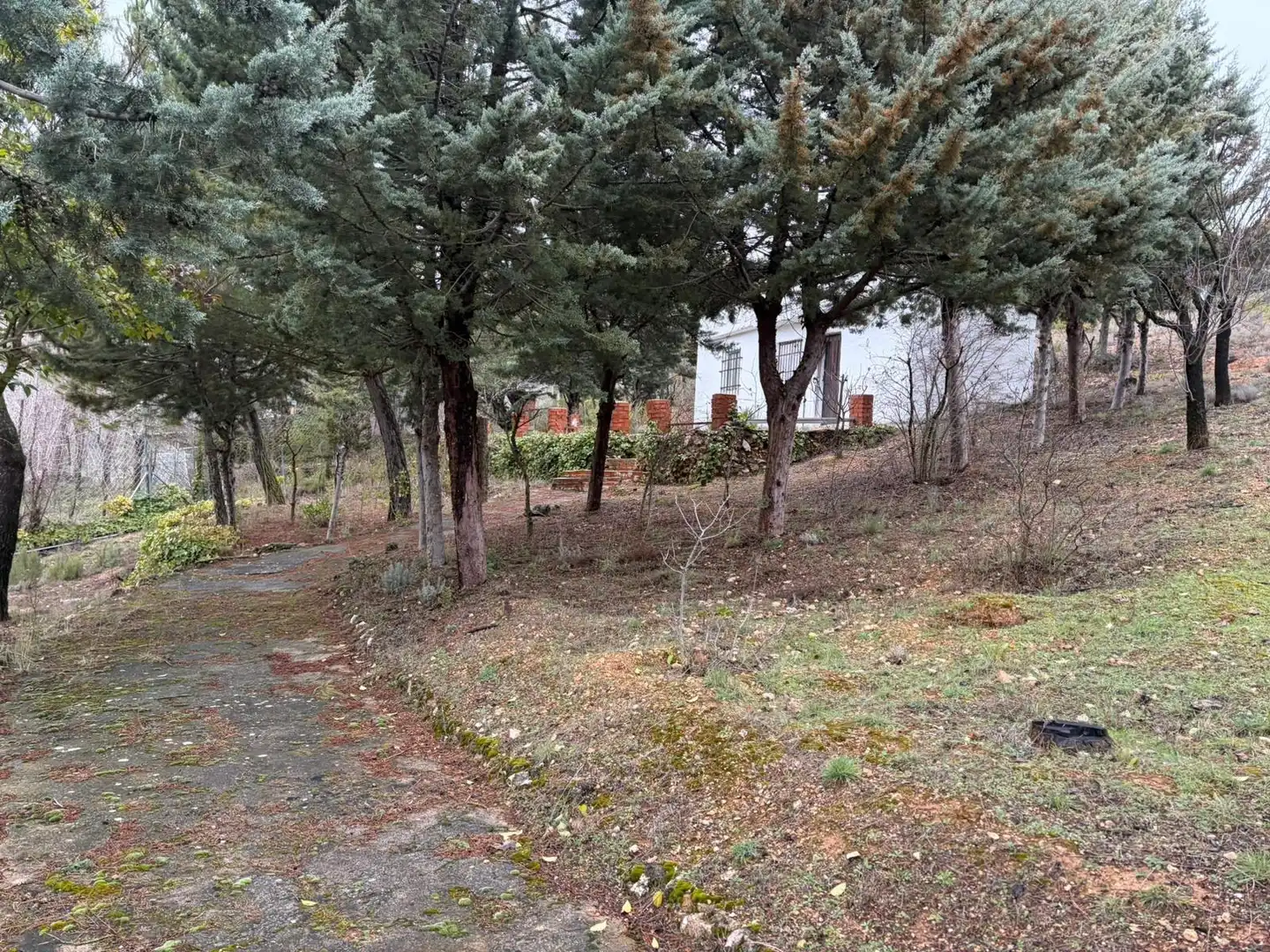 Finca rústica en venta en Pioz