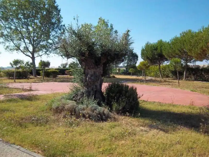 Houses for rent in Área Rural