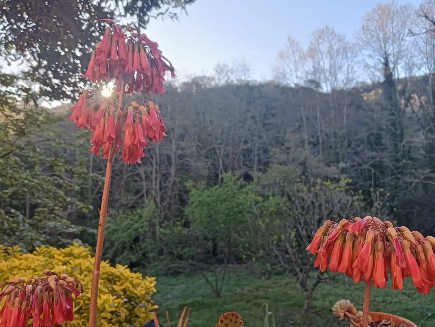 Finca rústica en venda a Vallgorguina