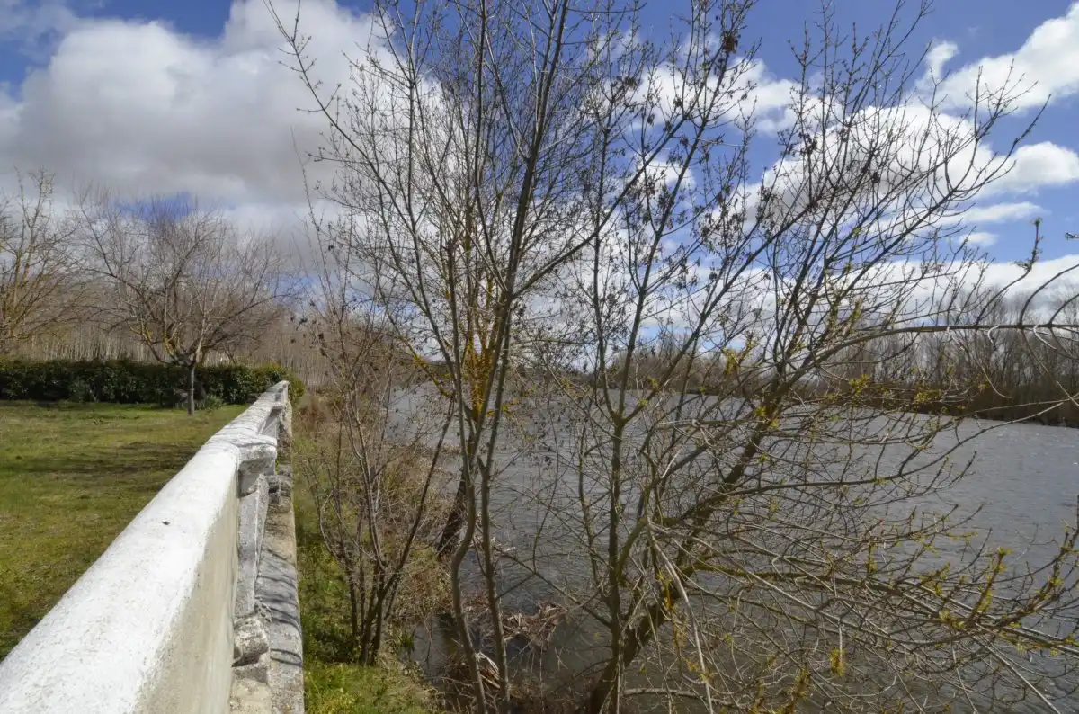 Vista exterior de Casa o chalet en venta en Valverdón con Trastero y Piscina