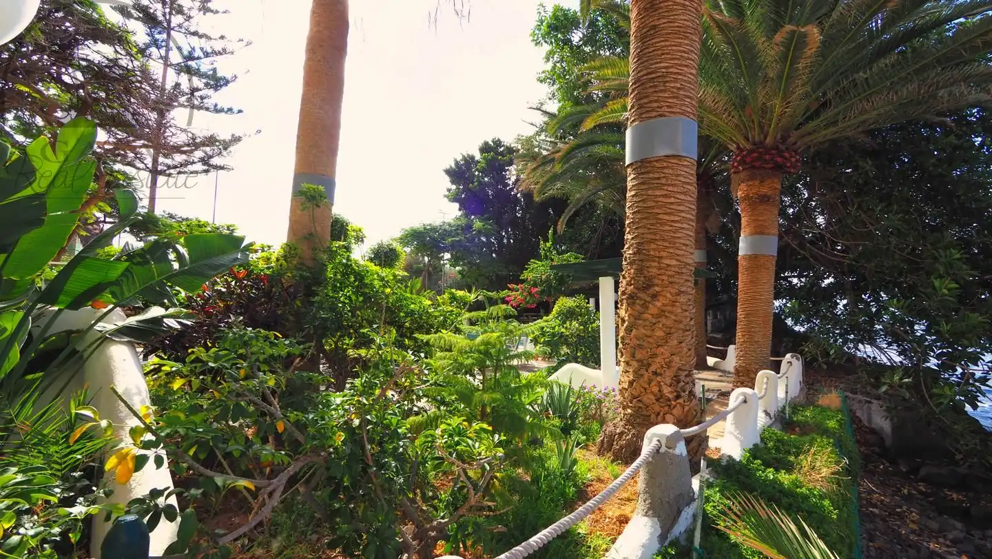 Jardí de Estudi en venda en Santa Cruz de Tenerife