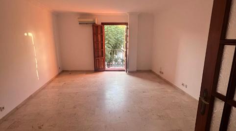 Foto 5 de Pis de lloguer a Centro, Sevilla