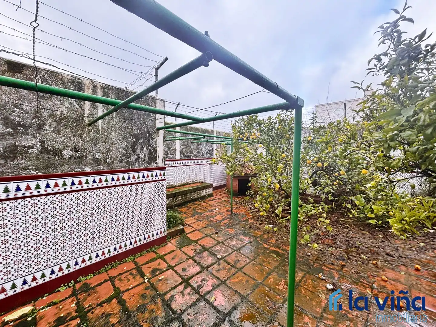 House with terrace for sale in Archidona, imagen 12