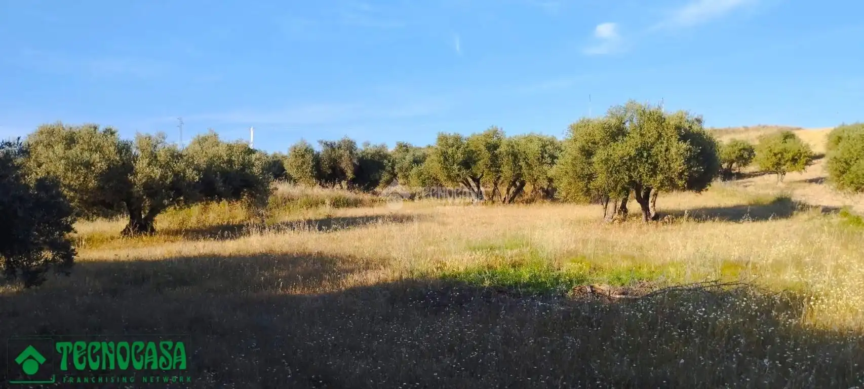 Terreni e lotti in vendita a Méntrida, imagen 17
