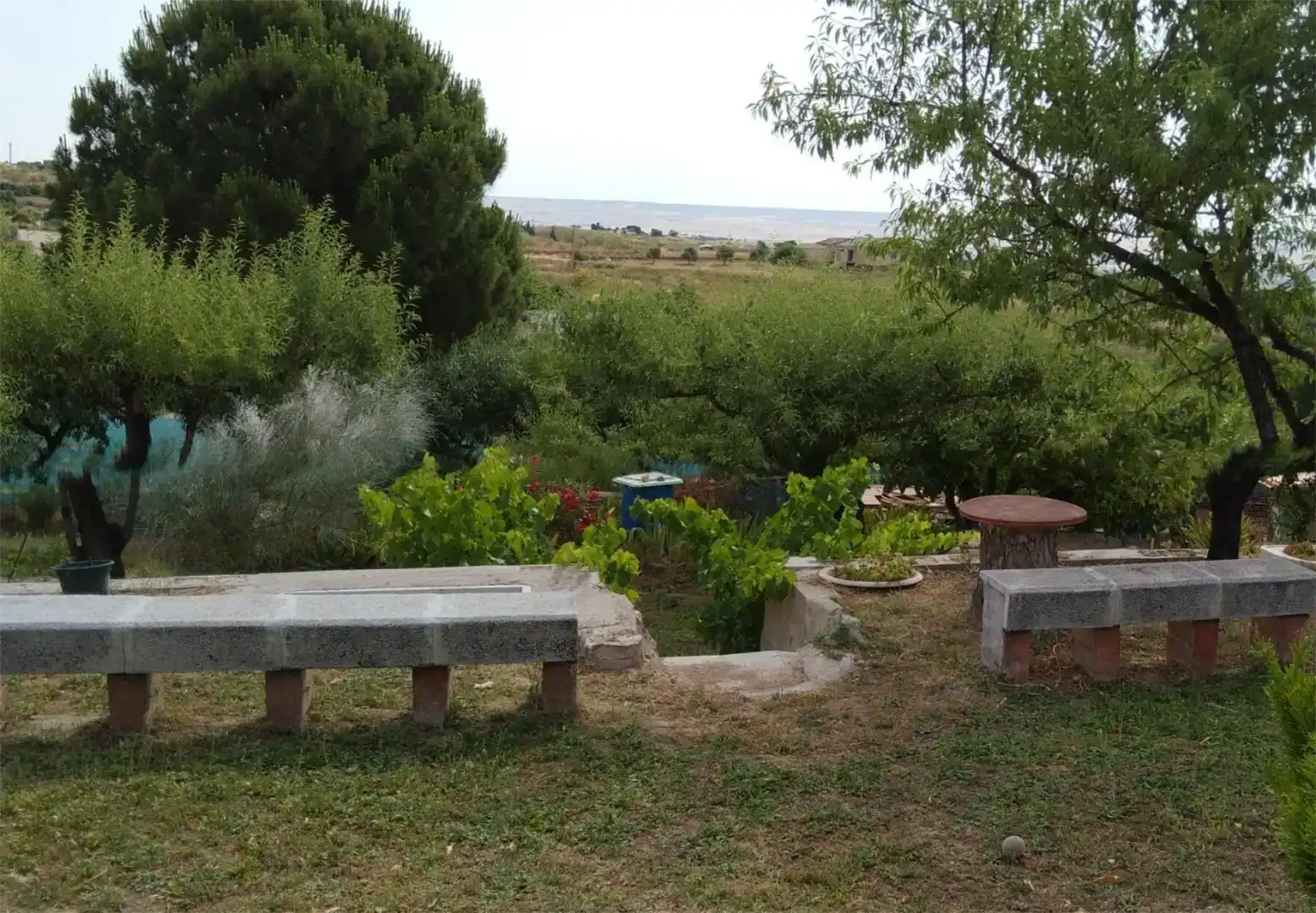 Jardí de Finca rústica en venda en El Molar (Madrid)