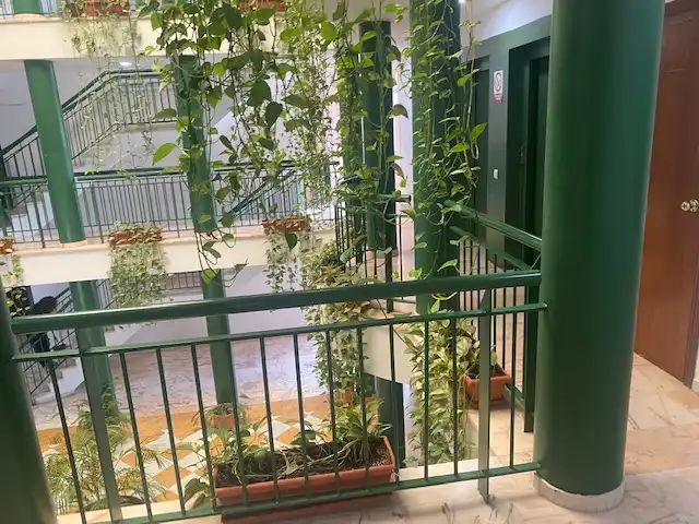 Apartament amb terrassa de lloguer a Avenida de la Innovación, imagen 8