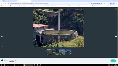 FINCA DE AGUACATES EN ITRABO, immagine 2