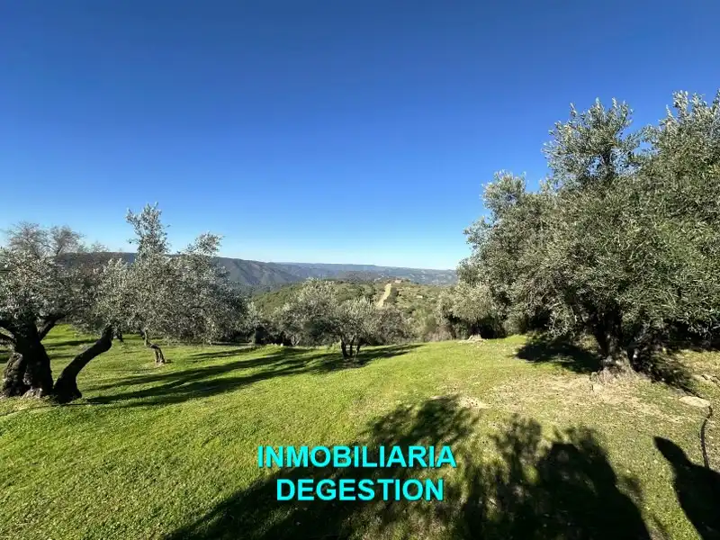Terreni e lotti in vendita a Andújar, imagen 31