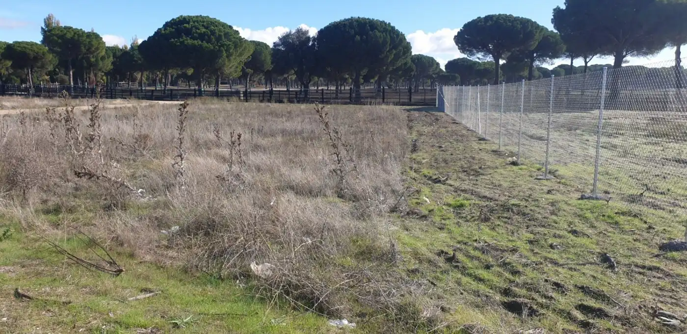 Terreni e lotti in vendita a Aldeamayor de San Martín, imagen 2