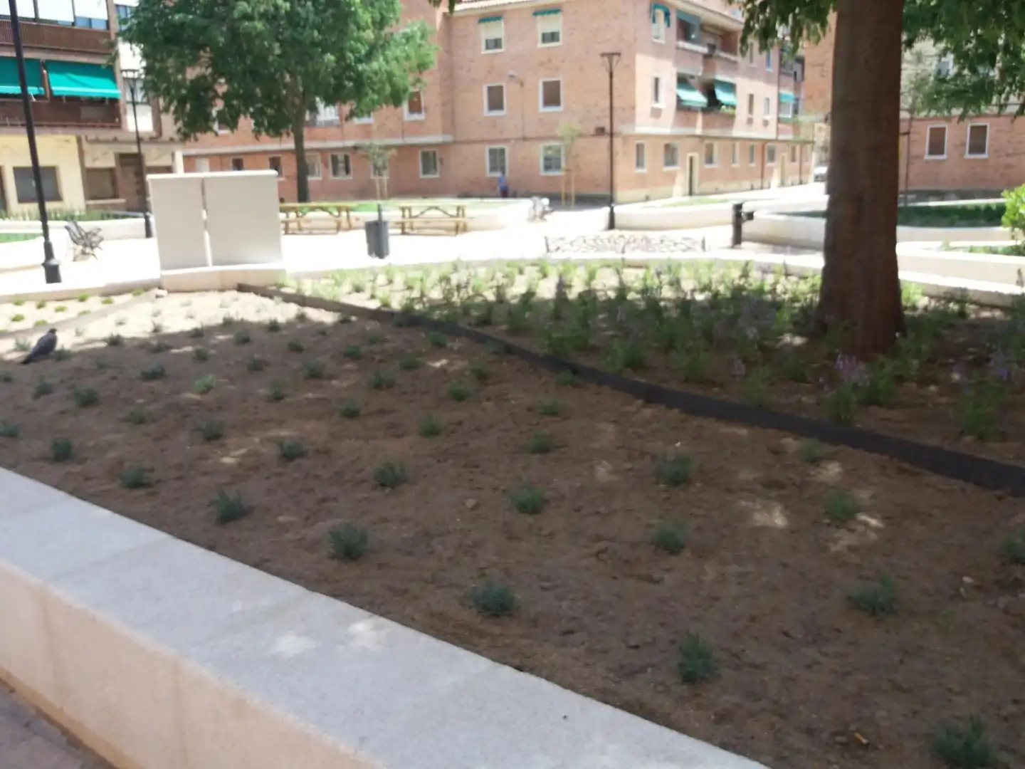 Jardín de Dúplex en venta en Segovia con Calefacción, Terraza y Balcón