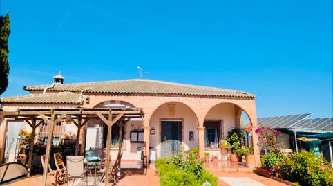 Photo 2 of Country house for sale in Polígono 14 Parcela 20 la Peñilla. Casariche (sevi, Casariche, Sevilla