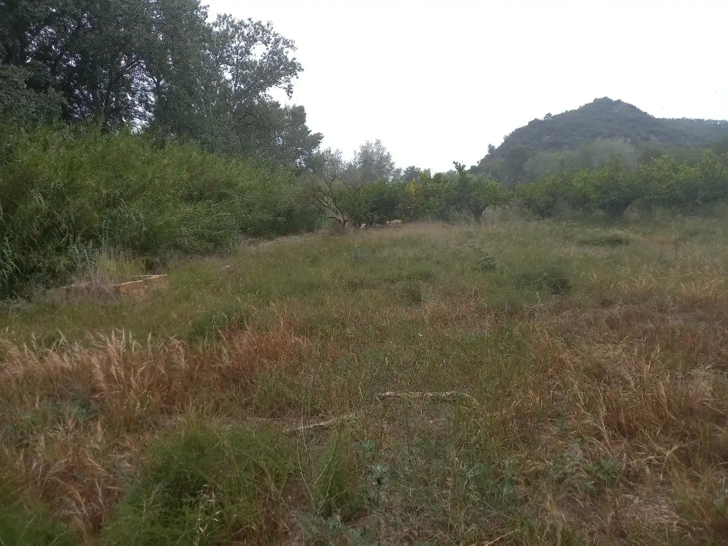 Terrenys i solars en venda a Miravet, imagen 6