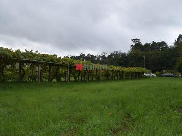 Terreni e lotti in vendita a Torre de Abaixo
