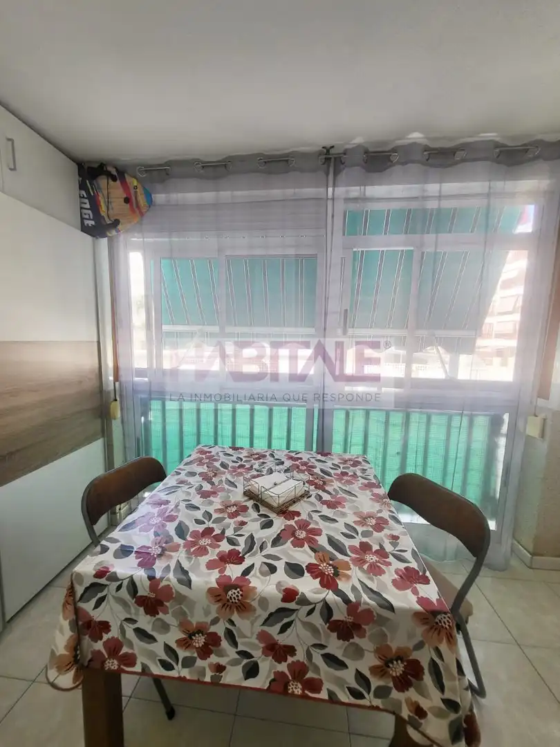 Studio mit Pool zur Miete in Daimús, imagen 9