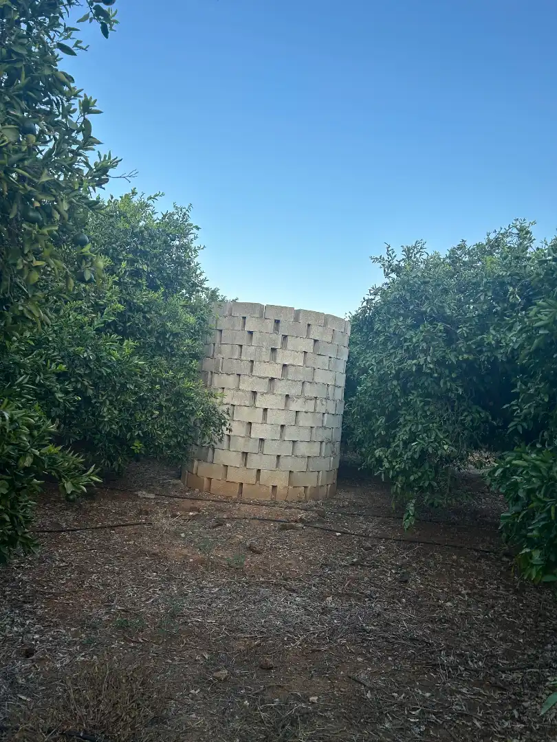 Terreny rústic en venda a Palma de Gandia, imagen 9