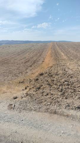 Terreno en Venta en Calle Real en La Malahá