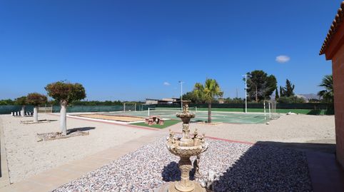 Foto 5 de Finca rústica en venda a Benferri, Alicante