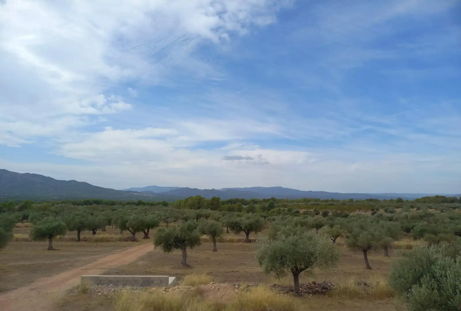 Finca rústica en venta en Tivissa