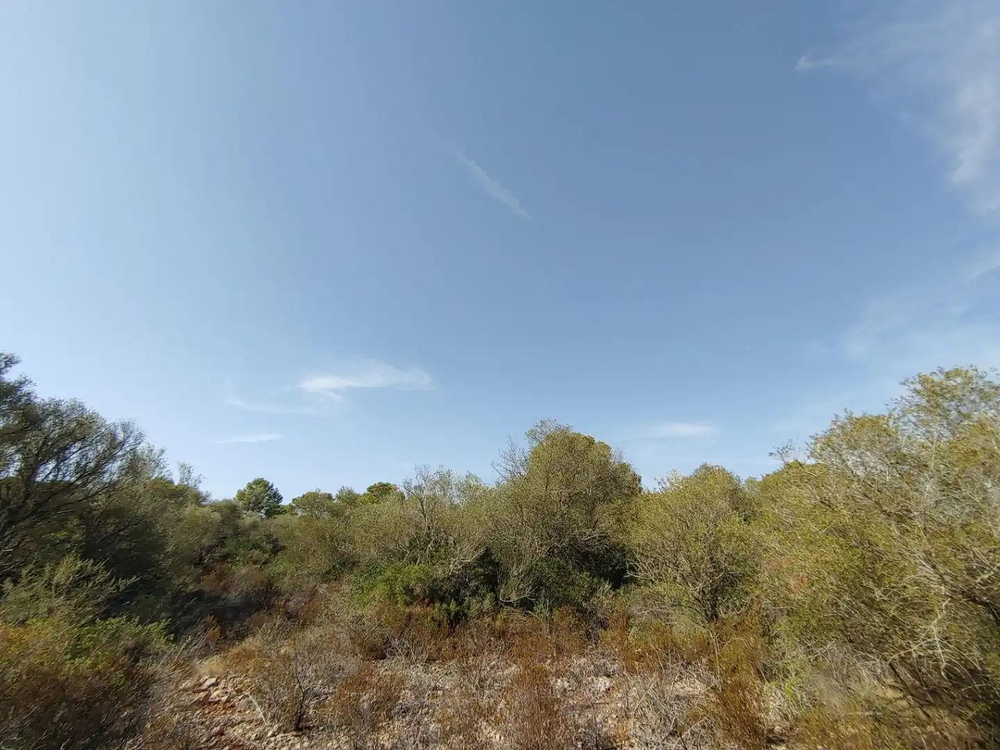 Residencial en venta en Polígono Parcela 12, Cala Pi - Vallgornera