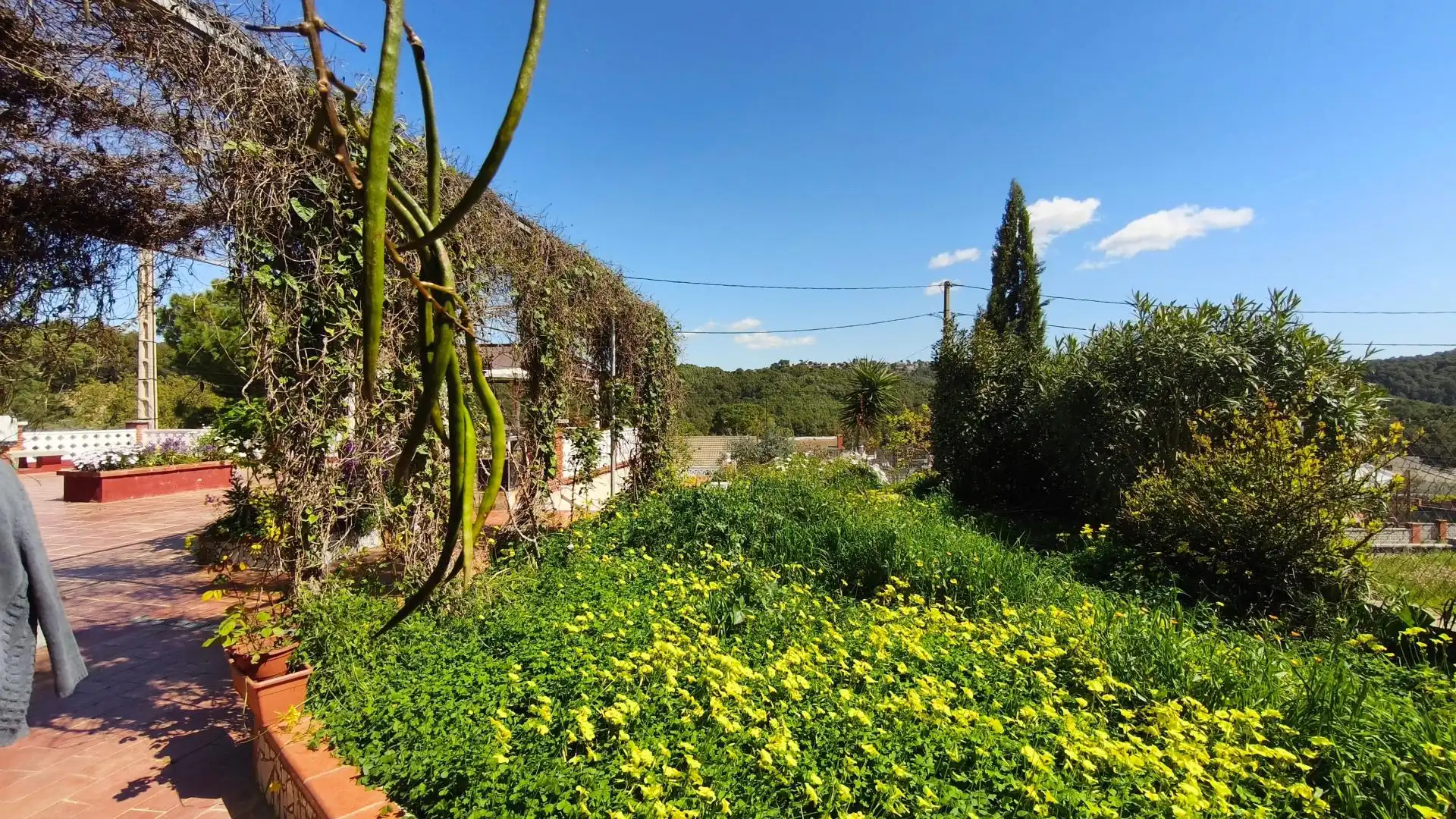 Jardí de Casa o xalet en venda en Olesa de Montserrat amb Aire condicionat, Terrassa i Piscina