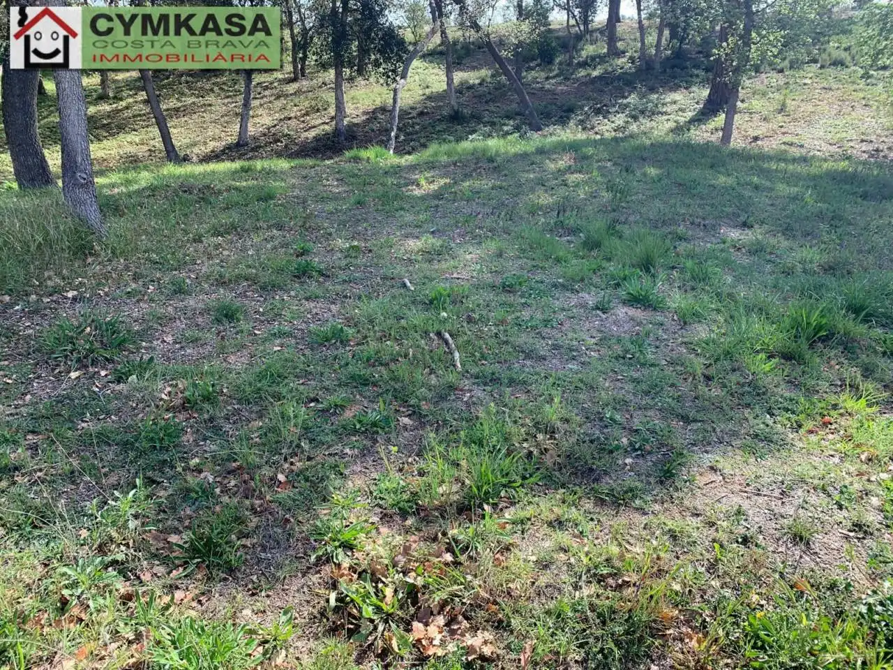 Terreno rústico en venta en Sils, imagen 8