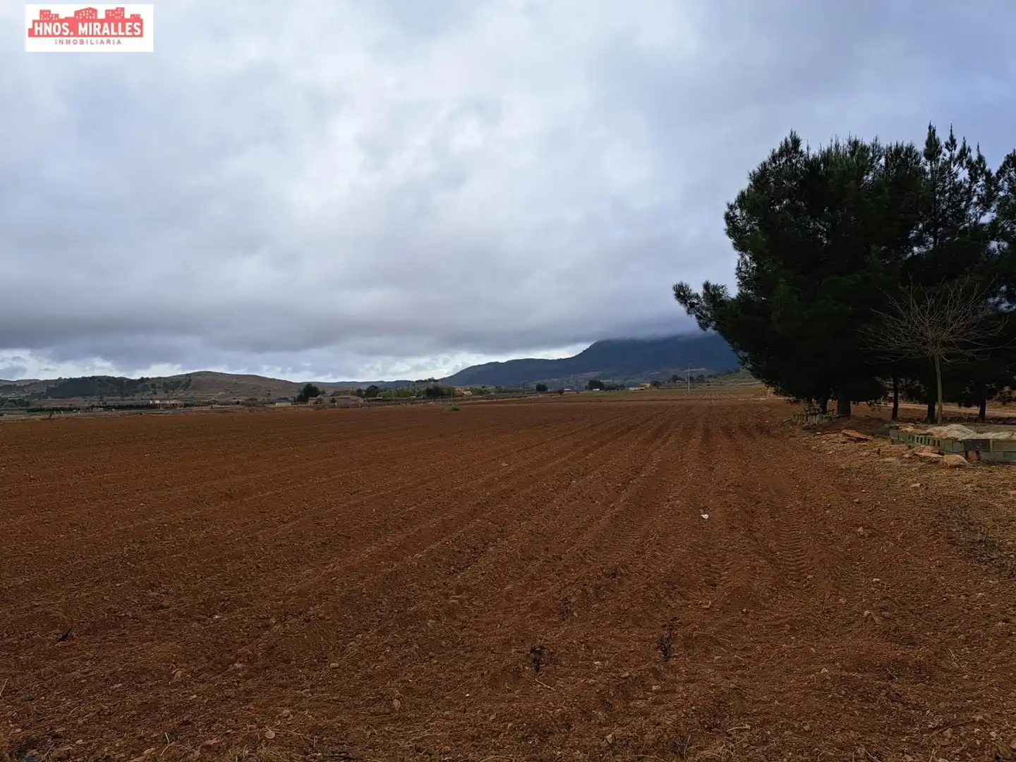Finca rústica en venda en Hondón de las Nieves / El Fondó de les Neus