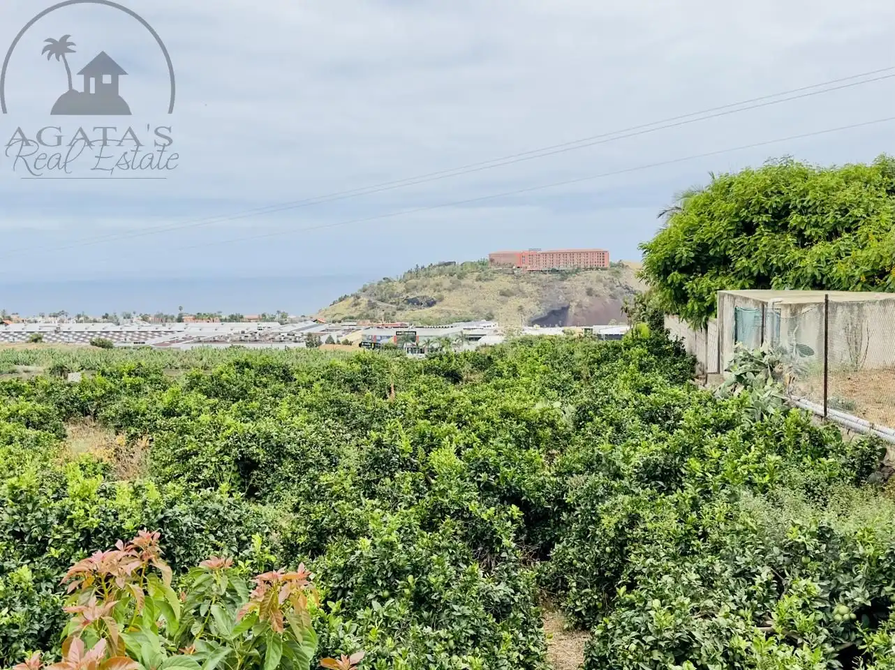 Finca rústica en venta en La Orotava con Jardín privado y Terraza