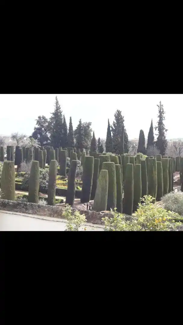 Jardí de Pis en venda en  Córdoba Capital amb Aire condicionat