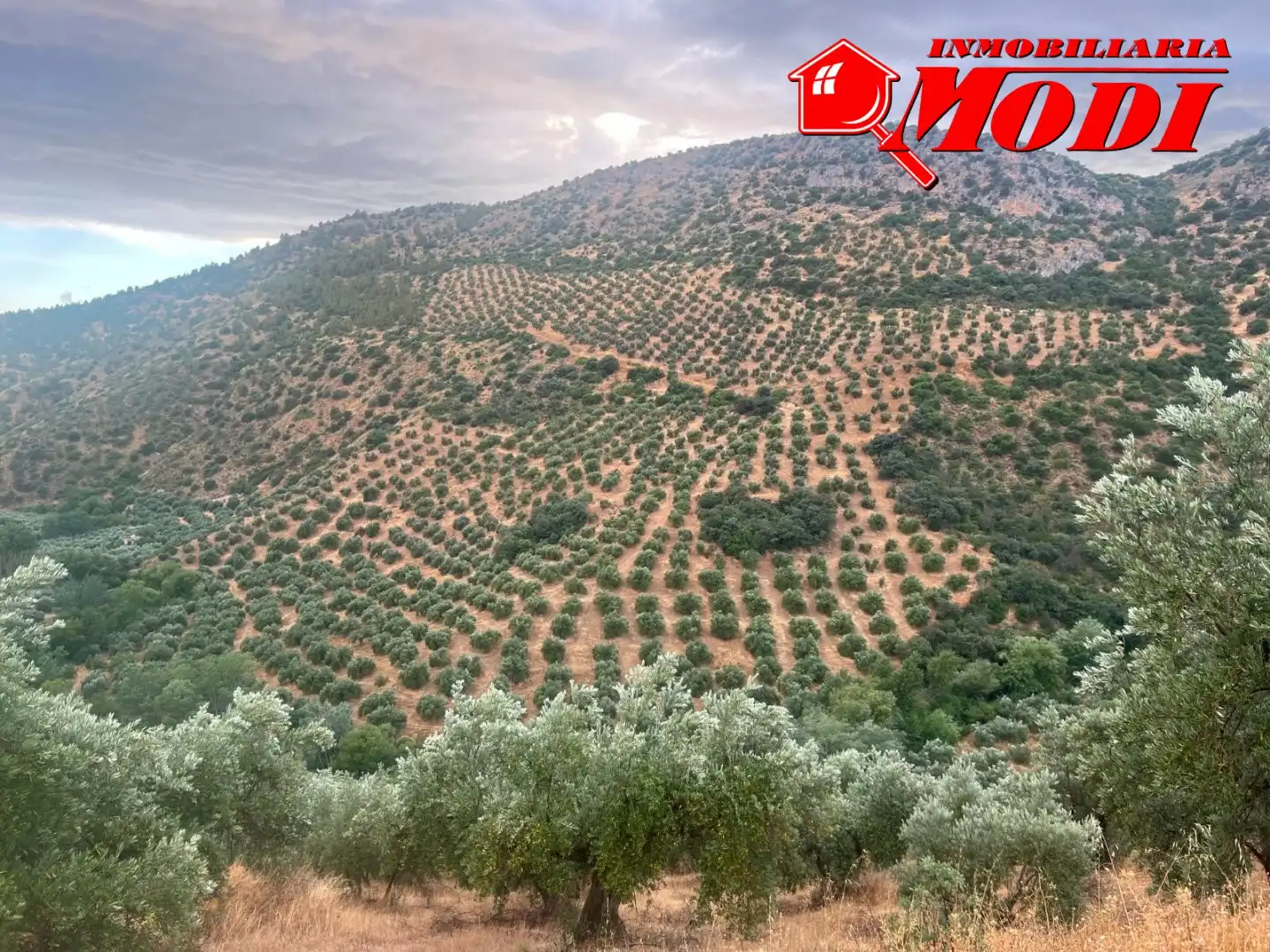 Terreni e lotti in vendita a Padul, imagen 3