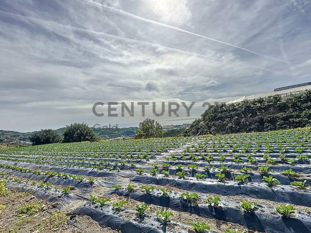 Terreno en Venta en Zarzaparrilla - Fuente de Ariza, 203 en Algarrobo pueblo