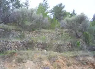 Terreno en venta en Llucena / Lucena del Cid