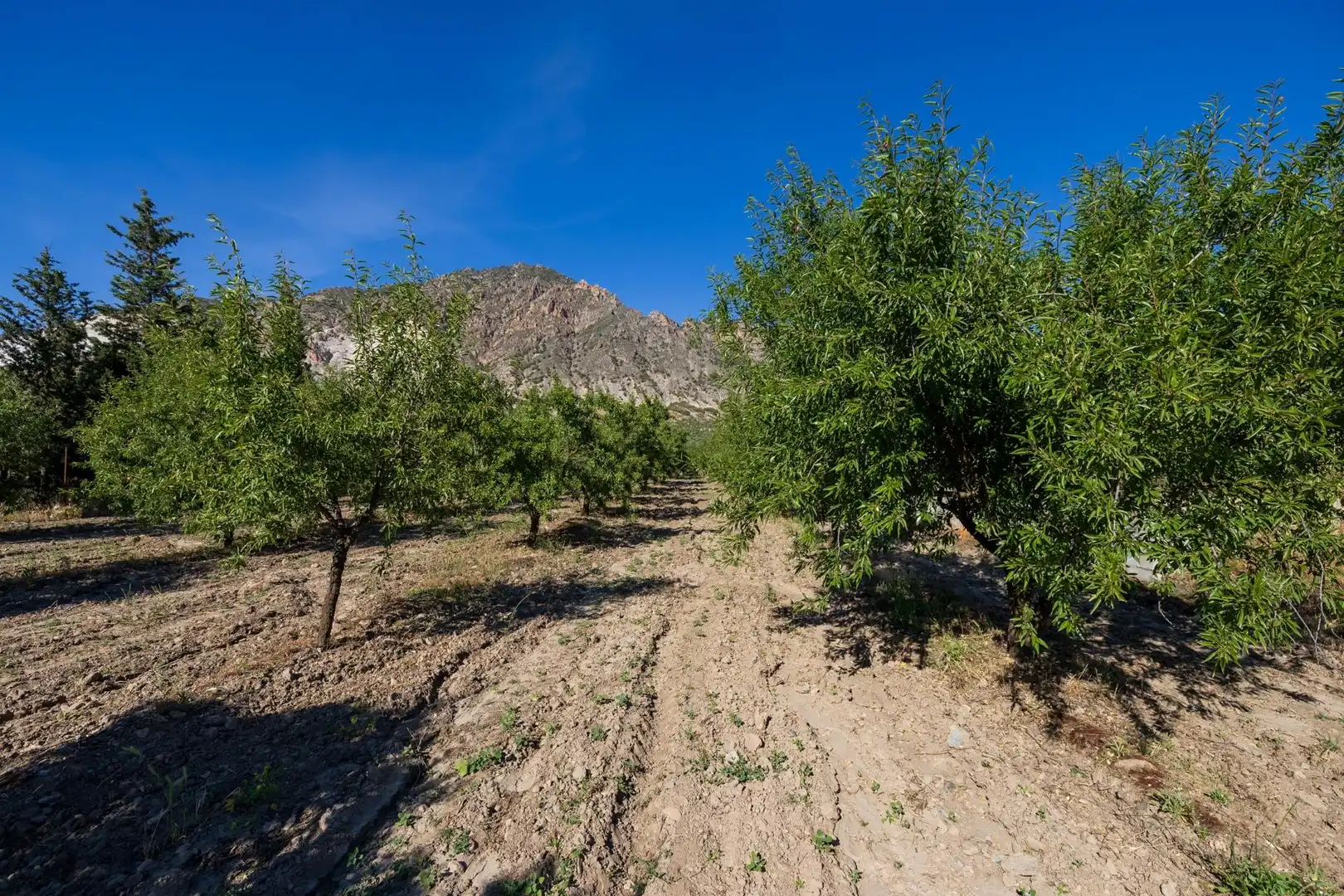 Rural land for sale in Dúrcal, imagen 14
