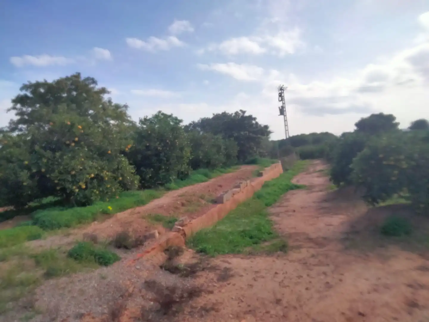 Terreno rustico in vendita a Los Pinares - La Masia, imagen 4