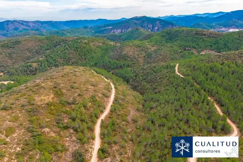 Exterior view of Land for sale in Torralba del Pinar