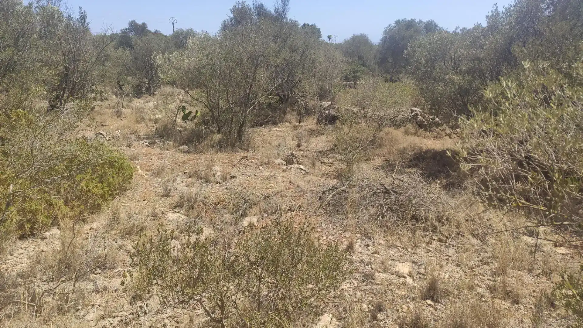 Terreny en venda en Marratxí