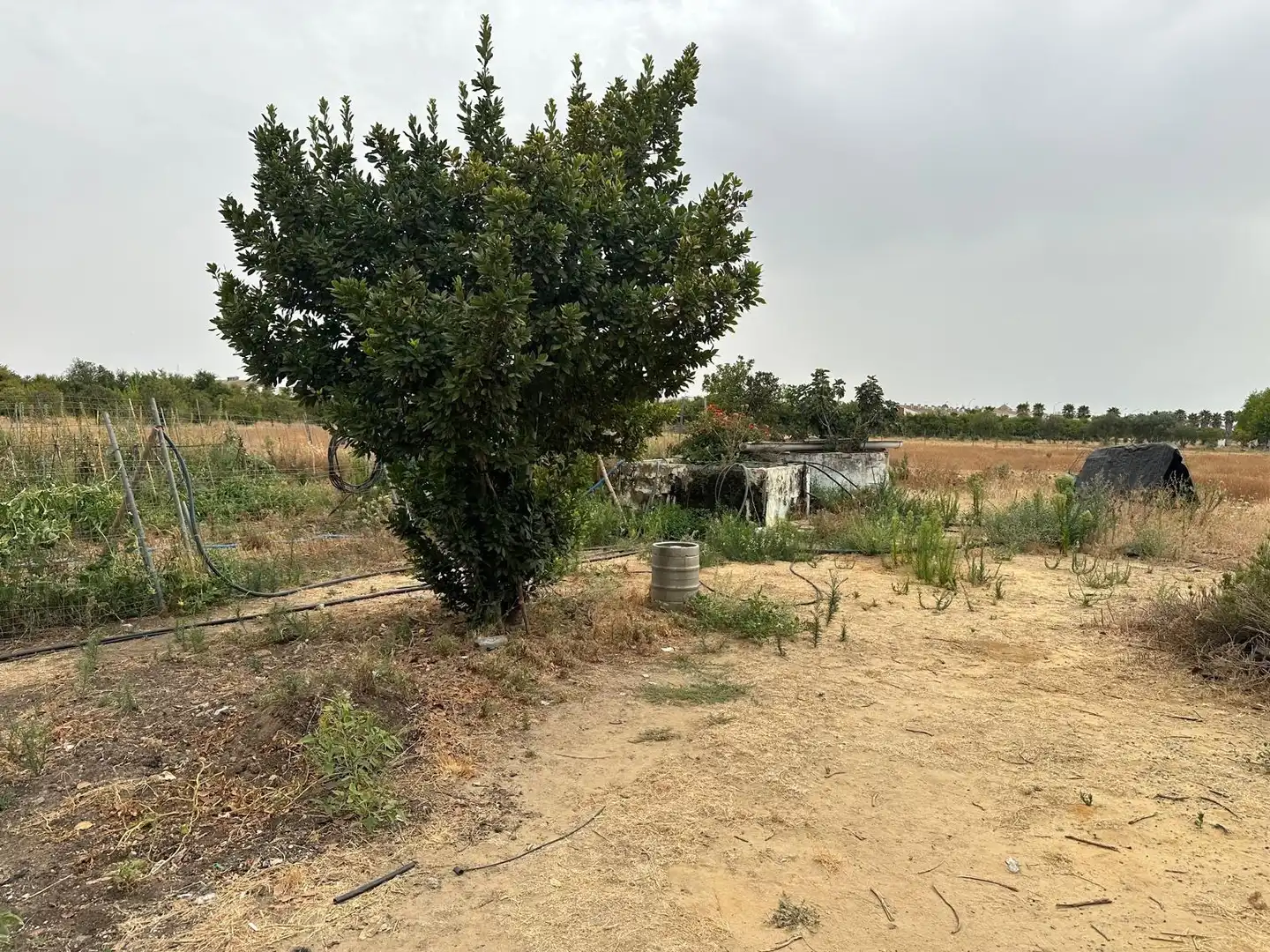 Terreni e lotti in vendita a Pedanías Norte, imagen 7