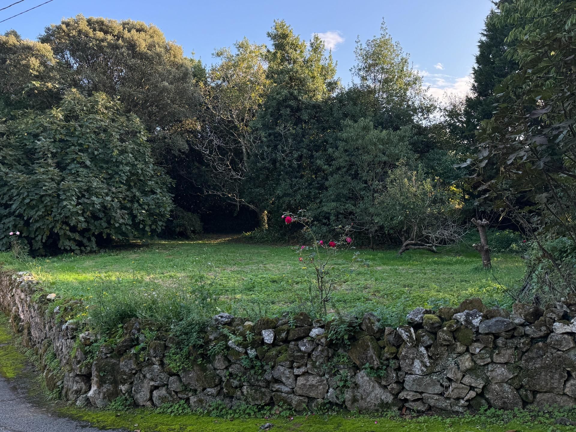 Residential for sale in Ruiloba