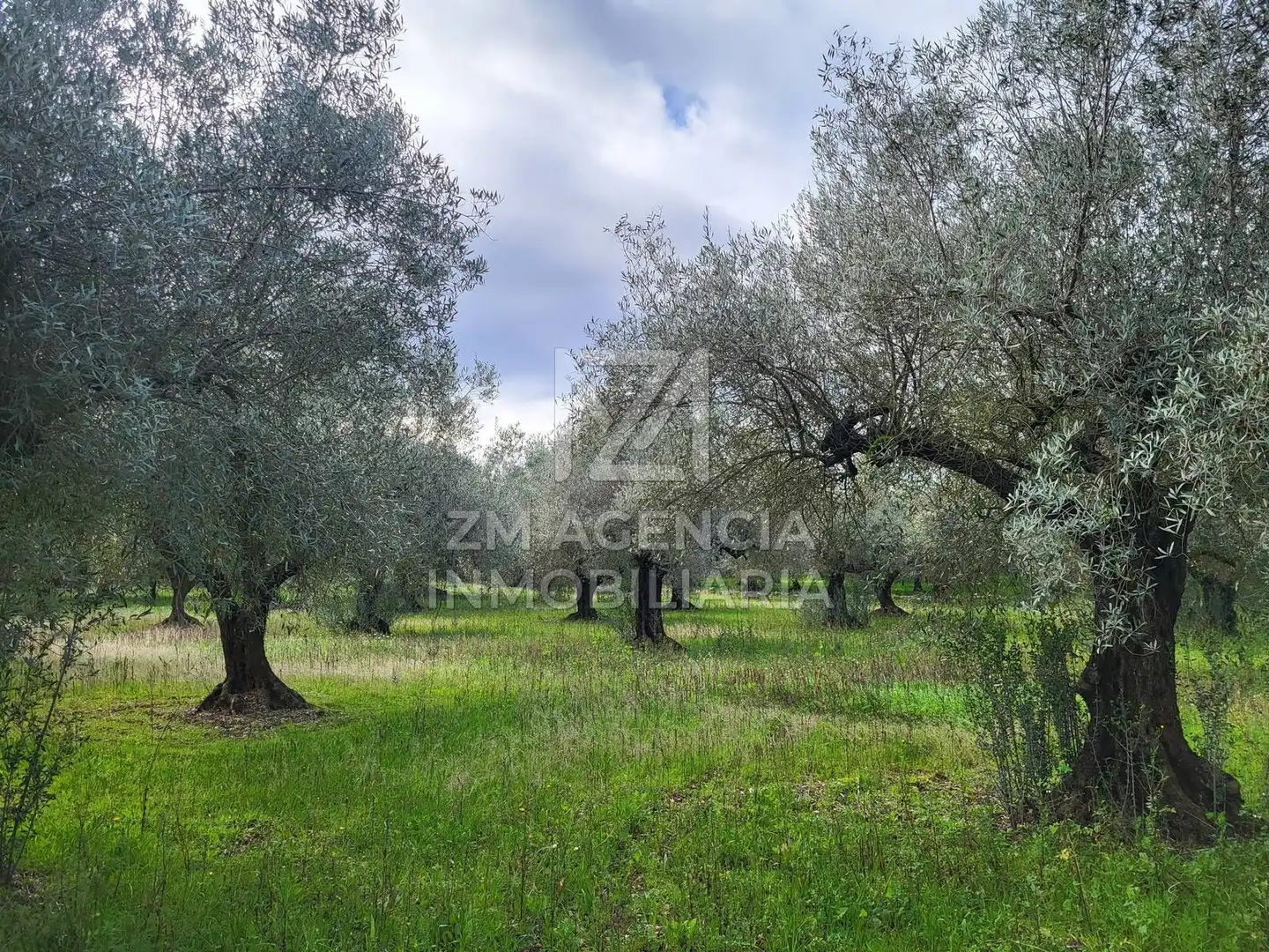 Terreno rustico in vendita a Cabanes, imagen 13