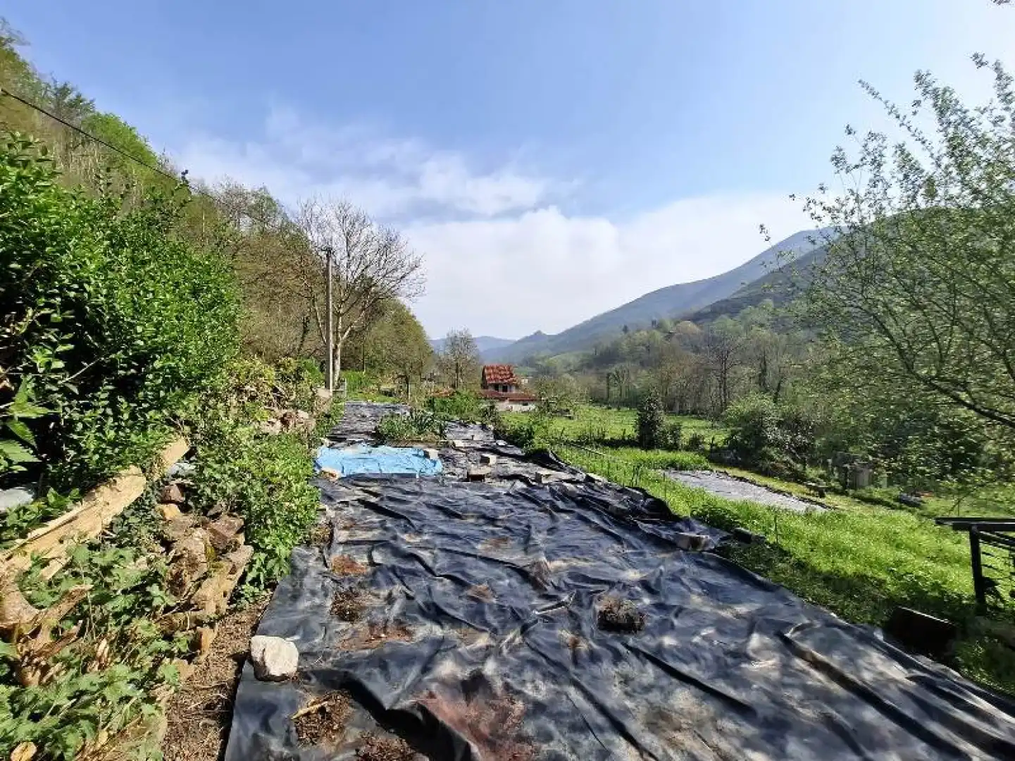 Jardín de Casa o chalet en venta en Los Tojos  con Calefacción y Trastero