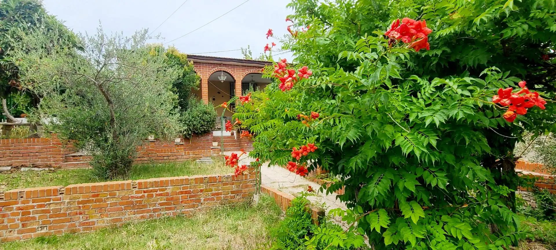 Jardí de Casa o xalet en venda en Villaviciosa de Odón