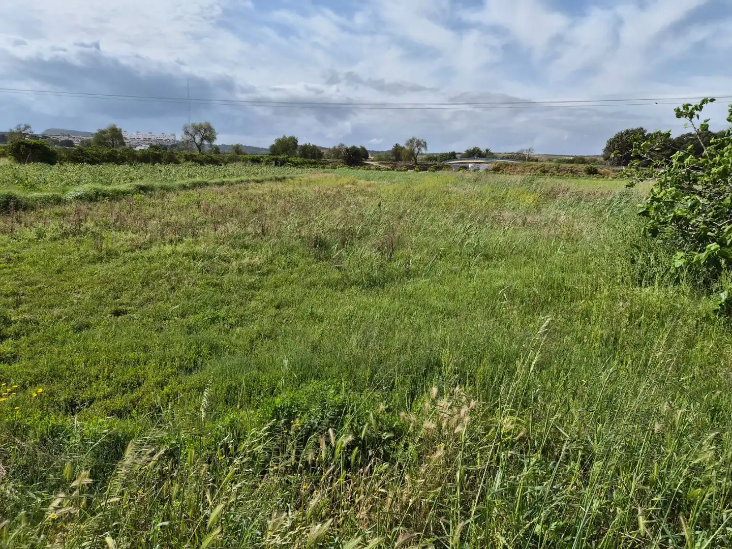 Casa rústica amb jardí en venda a CV-920 3, imagen 2