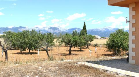 Foto 2 de Finca rústica en venda a Sencelles, Illes Balears