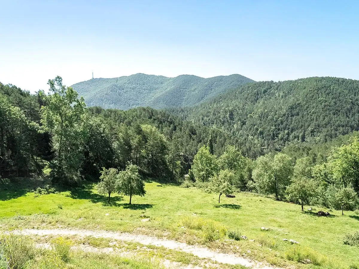 Landhaus zum Verkauf in Ripoll, imagen 38