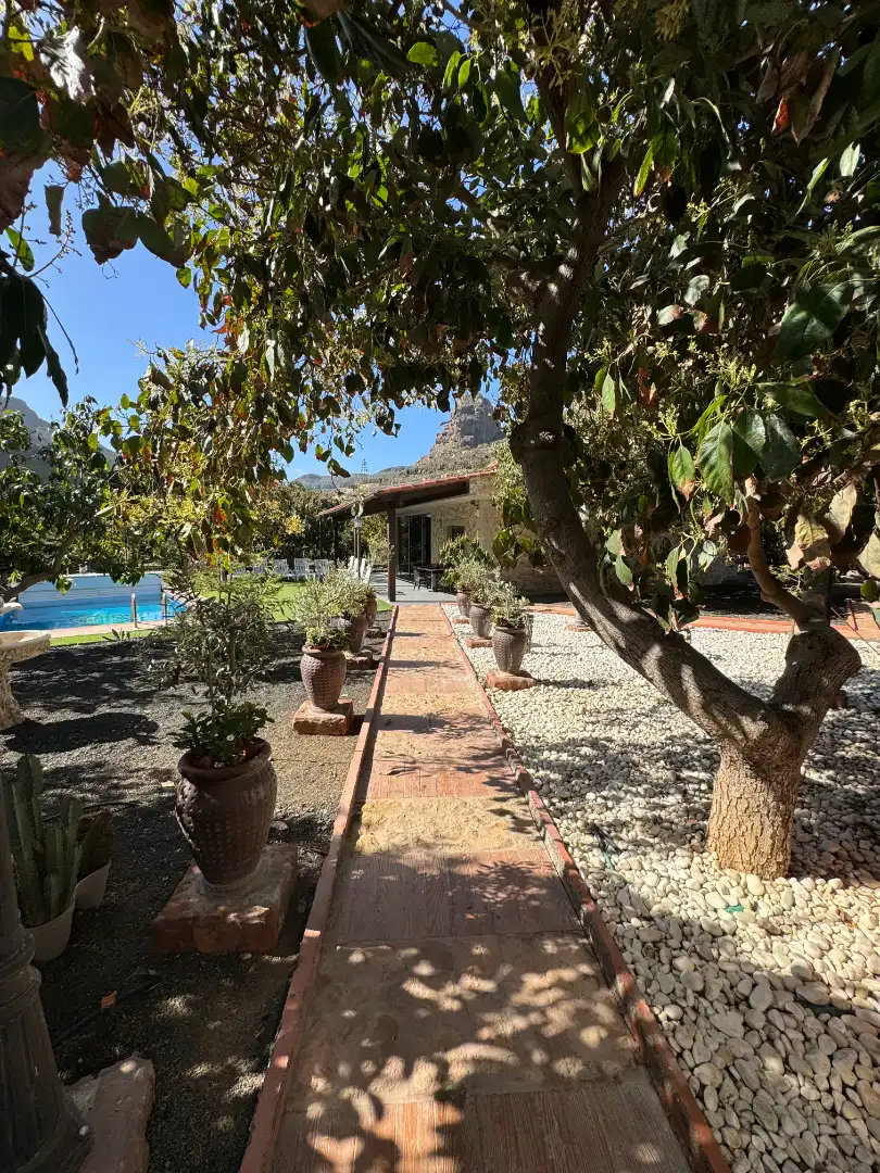 Jardí de Finca rústica en venda en San Bartolomé de Tirajana amb Aire condicionat, Jardí privat i Terrassa