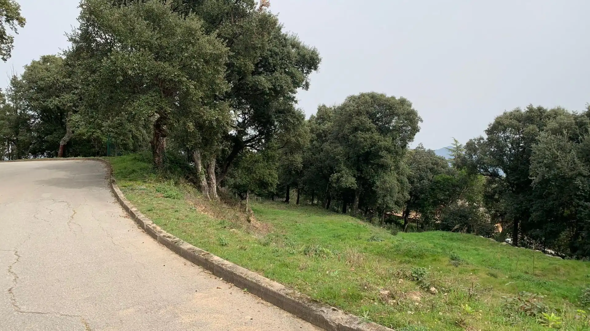 Terreny residencial en venda a Arbúcies