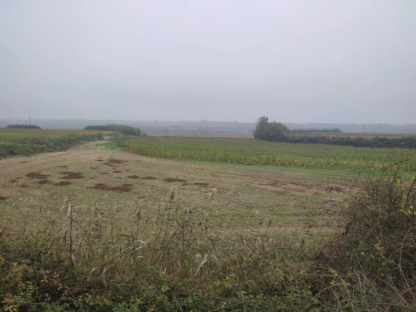 Terreno rustico in vendita a Castelldans, imagen 8