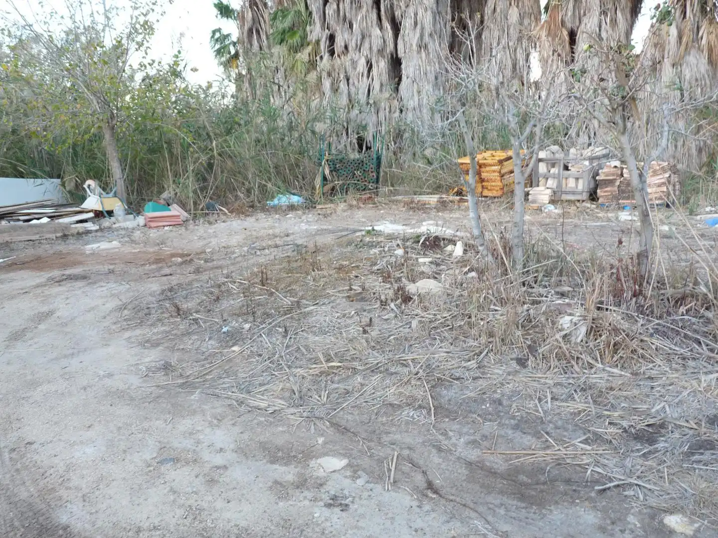 Rural land for sale in Pego, imagen 4