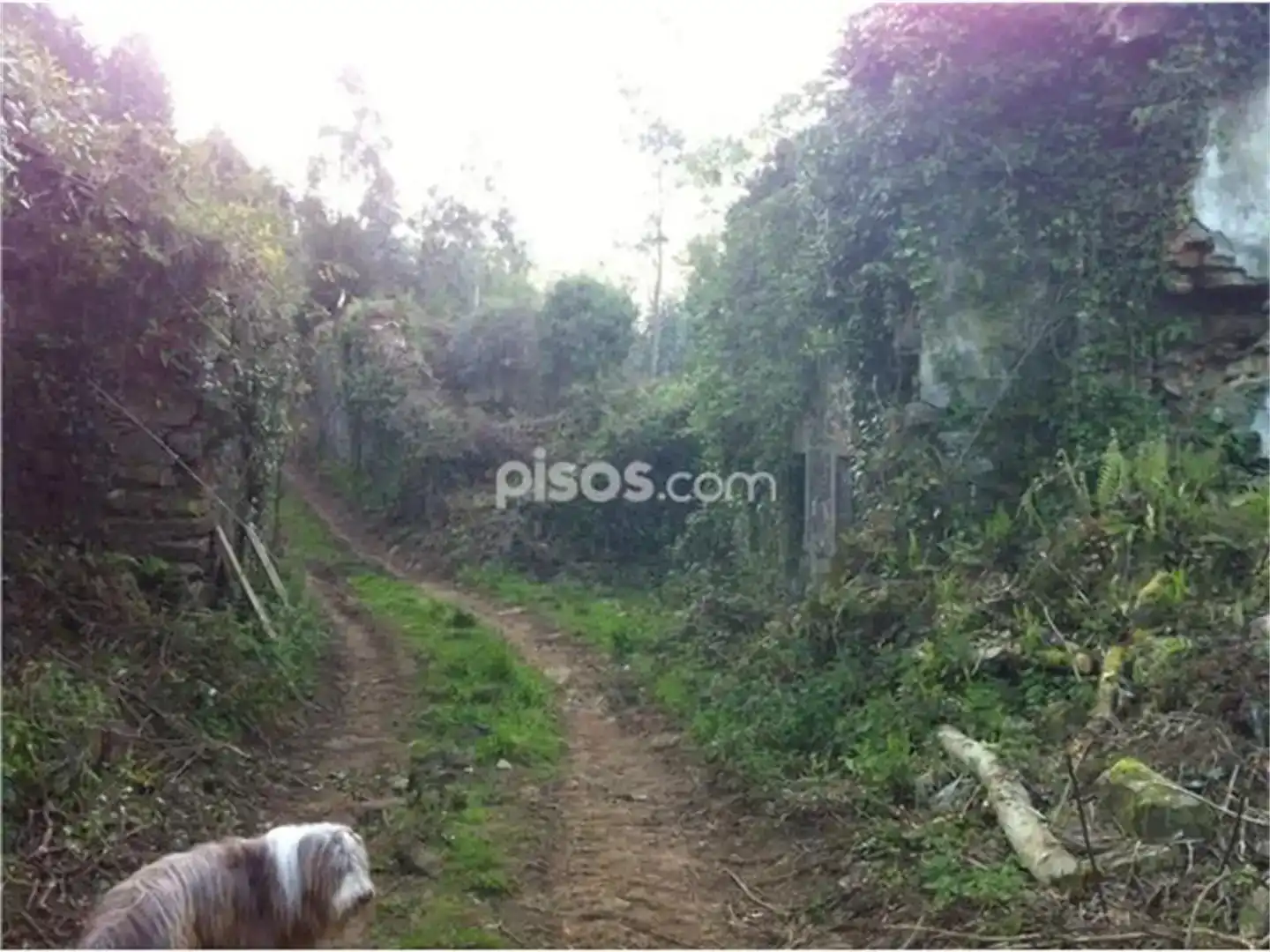 Residencial en venta en Ortigueira